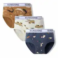 BOYS CARTOON PRINT COTTON UNDERWEAR PANTS 3PCS SETS