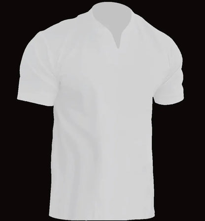 MEN'S PLUS SIZE SOLID V-NECK T-SHIRT