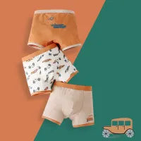 BOYS CARTOON PRINT COTTON UNDERWEAR BOXER 3PCS SET