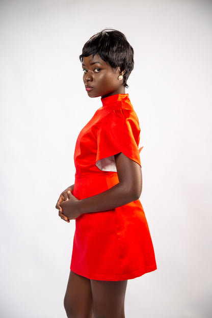 Ladies dress