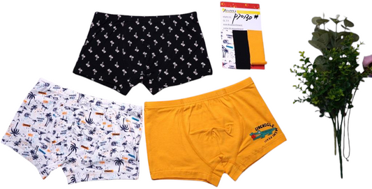 BOY'S UNDERWEAR BOXERS